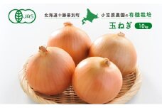 小笠原農園の有機玉ねぎ10kg【北海道十勝幕別】《2025年秋出荷先行予約》【 野菜 玉ねぎ たまねぎ パワーウルフ 北海道 幕別町 】 [№5749-0936]