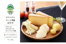北海道 十勝 チーズアソート4種/焼きチーズ・モッツァレラ [チーズ工房NEEDS]【 チーズ アソート 詰合せ セット カチョカバロ ラクレット モッツァレラ 乳製品 ワイン 麦酒 ビール 酒 NEEDS ニーズ 焼きチーズ 食べ比べ 受賞 北海道 十勝 幕別 】 [№5749-1020]