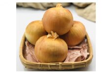 北海道十勝幕別産 玉ねぎ 約10kg [№5749-1086]