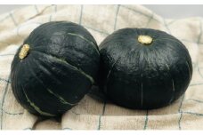 北海道十勝幕別産 かぼちゃ 約10kg（6玉）【2024年9月出荷開始】 [№5749-1088]