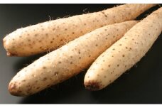 北海道十勝幕別産 長いもAL 約10kg [№5749-1090]