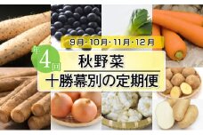十勝幕別の定期便 秋野菜 年4回お届け [№5749-1136]