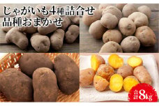じゃがいも4種詰合せ（品種おまかせ合計8kg）【十勝幕別 北海道ホープランド農場】 [№5749-1166]