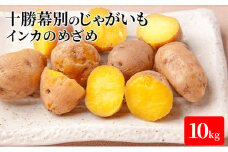 十勝幕別のじゃがいも10kg（インカのめざめ）【北海道ホープランド農場】 [№5749-1165]