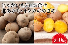 じゃがいも2種詰合せ（北あかり10kg・インカのめざめ10kg）【十勝幕別 北海道ホープランド農場】 [№5749-1169]