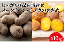 じゃがいも2種詰合せ（メークイン10kg・インカのめざめ10kg）【十勝幕別 北海道ホープランド農場】 [№5749-1168]