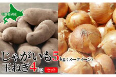 じゃがいも5kg・玉ねぎ4kgセット（メークイン）【十勝幕別 北海道ホープランド農場】 [№5749-1170]