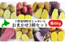 十勝幕別町産じゃがいも18kg（おまかせ3種各6kg）【渡邉農場】[2025年11月出荷開始] 野菜 ジャガイモ  [№5749-1212]