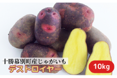十勝幕別町産じゃがいも10kg（デストロイヤー）【渡邉農場】[2025年11月出荷開始] 野菜 ジャガイモ  [№5749-1210]