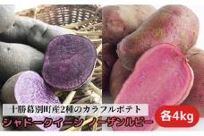 十勝幕別町産2種のカラフルポテト8kg（シャドークイーン4kg・ノーザンルビー4kg）【渡邉農場】[2024年11月出荷開始] 野菜 じゃがいも ジャガイモ  [№5749-1211]