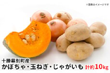 【2025年出荷先行予約】十勝幕別町産 かぼちゃ2個・玉ねぎ4kg・じゃがいも2kg 計約10kg［山田敏明牧場］ 野菜 たまねぎ セット 詰合せ 旬の野菜 産地直送 北海道産 [№5749-1273]