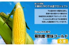 とうもろこし 恵味ゴールド 6本「じゅんかん育ち」【十勝BISTRO下水道プロジェクト】北海道 十勝 幕別町 [№5749-1283]