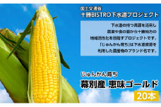 とうもろこし 恵味ゴールド 20本「じゅんかん育ち」【十勝BISTRO下水道プロジェクト】北海道 十勝 幕別町 [№5749-1285]