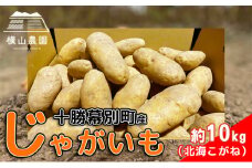 北海道 十勝 幕別産 じゃがいも 北海こがね 約10kg【横山農園】[2024年9月下旬出荷開始] [№5749-1291]