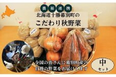【農福連携】北海道十勝幕別町のこだわり秋野菜　中セット [№5749-1324]