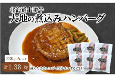 北海道 十勝牛 大地の煮込みハンバーグ230g×6パック 野菜入り お手軽レンチン【セット 牛100% 国産牛 牛肉 ハンバーグ 惣菜 小分け 冷凍 牛肉100% 大きい レンジ 簡単 国産 北海道 十勝 幕別 ふるさと納税 送料無料 】 [№5749-1360]