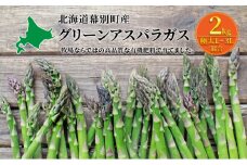 十勝幕別町産 グリーンアスパラ2kg 極太L～3L混合［山田敏明牧場］【2025年5月出荷開始】  北海道 野菜 アスパラガス [№5749-1385]