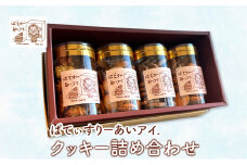 クッキー詰め合わせ［ぱてぃすりーあいアイ.］北海道 十勝 幕別町【 お菓子 焼き菓子 洋菓子 スイーツ  おやつ ギフト バタークッキー コーヒークッキー ラングドシャ 】 [№5749-1423]