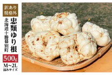【規格外】十勝幕別 忠類ゆり根 500g（M～2L）3～5玉【 北海道 幕別町 忠類 十勝 高級食材 お正月 料理 訳あり 】 