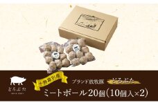 十勝幕別産ブランド放牧豚［どろぶた］ミートボール20個（10個入×2）　北海道 エルパソ 放牧豚 [№5749-1392]