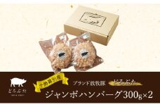 十勝幕別産ブランド放牧豚［どろぶた］ジャンボハンバーグ300g×2　北海道 エルパソ 放牧豚 [№5749-1391]