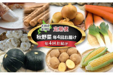 十勝幕別の定期便 秋野菜 年4回お届け 【お届け開始：2025年9月～】[№5749-1467]