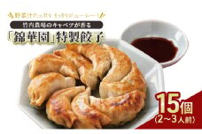 ボリューム満点 手作り冷凍餃子 15個（2～3人前）×1袋［錦華園］【 野菜 キャベツ たっぷり 厚い 手包み 手作り もちもち モチモチ 汁 町中華 中華 北海道 十勝 幕別 】[№5749-1593]