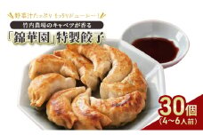 ボリューム満点 手作り冷凍餃子 30個（4～6人前）(15個×2袋)［錦華園］【 野菜 キャベツ たっぷり 厚い 手包み 手作り もちもち モチモチ 汁 町中華 中華 北海道 十勝 幕別 】[№5749-1594]