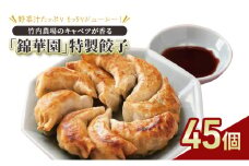 ボリューム満点 手作り冷凍餃子 45個 (15個×3袋)［錦華園］【 野菜 キャベツ たっぷり 厚い 手包み 手作り もちもち モチモチ 汁 町中華 中華 北海道 十勝 幕別 】[№5749-1595]