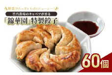 ボリューム満点 手作り冷凍餃子 60個 (15個×4袋)［錦華園］【 野菜 キャベツ たっぷり 厚い 手包み 手作り もちもち モチモチ 汁 町中華 中華 北海道 十勝 幕別 】[№5749-1596]