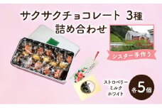 十勝カルメル会シスターが真心こめて作った サクサク チョコレート 3種 詰め合わせ（ストロベリー・ミルク・ホワイトチョコ　各5個）【 ギフト プチギフト お菓子 お礼 お返し 北海道 十勝 幕別 カルメル キリスト チョコレート カシューナッツ 】 [№5749-1539]