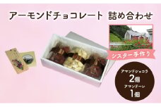 十勝カルメル会シスターが真心こめて作った アーモンドチョコレート 詰め合わせ（アマンドショコラ2個・アマンドーレ1個）【 ギフト プチギフト お菓子 お礼 お返し 北海道 十勝 幕別 カルメル イエズス キリスト チョコ チョコレート アーモンド 】 [№5749-1542]