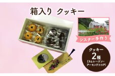 十勝カルメル会シスターが真心こめて作った 箱入り クッキー (ラムレーズン・アーモンドココア)　【 ギフト プチギフト お菓子 お礼 お返し 北海道 十勝 幕別 カルメル イエズス キリスト クッキー 】 [№5749-1546]