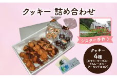 十勝カルメル会シスターが真心こめて作った クッキー 詰め合わせ 4種 (セサミ・マーブル・ラムレーズン・アーモンドココア)　【 ギフト プチギフト お菓子 お礼 お返し 北海道 十勝 幕別 カルメル イエズス キリスト クッキー 】 [№5749-1550]