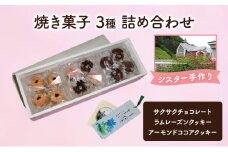 十勝カルメル会シスターが真心こめて作った 焼き菓子 3種 詰め合わせ（サクサク・ラムレーズンクッキー・アーモンドココアクッキー）【 ギフト プチギフト お菓子 お礼 お返し 北海道 十勝 幕別 カルメル イエズス キリスト クッキー 】 [№5749-1548]