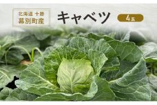 北海道 十勝 幕別町産 キャベツ 4玉 【 野菜 サラダ 産地直送 竹内農場 きゃべつ 葉野菜 ロールキャベツ 千切り 】[№5749-1615]
