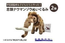[北海道幕別町]学芸員監修＆子どもたちと作った！忠類ナウマンゾウぬいぐるみ2体（小中学生制作のオリジナル学びの下げ札付き）【 ぬいぐるみ おもちゃ ふわふわ もこもこ 北海道 幕別 】[№5749-1736]