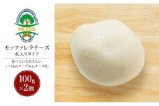 北海道 十勝 モッツァレラチーズ 水入りタイプ100g×2個［チーズ工房NEEDS］【 モッツァレラ チーズ ミルク ワイン 乳製品 北海道 十勝 幕別 】 [№5749-1703]