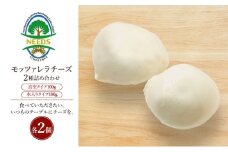 北海道 十勝 モッツァレラチーズ 真空タイプ100g 水入りタイプ100g（各2個）［チーズ工房NEEDS］【 モッツァレラ チーズ ミルク ワイン 乳製品 北海道 十勝 幕別 】 [№5749-1716]