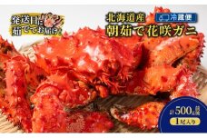 ［冷蔵便］茹でたて直送！北海道産 朝茹で 花咲ガニ 約500g×1尾【 かに カニ 蟹 花咲ガニ 花咲蟹 海鮮 魚介 海の幸 海産物 家庭用 冷蔵 北海道 十勝 幕別 】 [№5749-1740]
