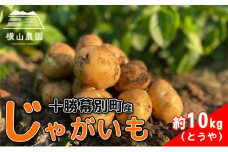 北海道 十勝 幕別産 じゃがいも とうや 約10kg 【横山農園】 野菜 根菜 食材 煮崩れしにくい サラダ 煮込み料理 肉じゃが カレー シチュー 北海道のジャガイモ	 [№5749-1288]