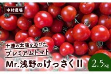 訳あり 北海道 十勝の太陽を浴びたプレミアムトマト 「Mr.浅野のけっさく2」2.5kg ［中村農場］【 訳あり トマト フルーツトマト 中玉トマト ミディトマト 高糖度 甘い 濃厚 寒暖差 野菜 こだわり 農家直送 北海道 十勝 幕別 】[№5749-1786]