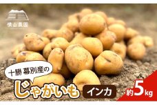 北海道 十勝 幕別産 じゃがいも インカ 約5kg【横山農園】  野菜 根菜 フライドポテト ポテトチップス 変色しにくい 煮崩れしにくい 黄金色 北海道のジャガイモ [№5749-1386]