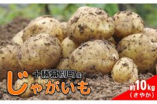 北海道 十勝 幕別産 じゃがいも さやか 約10kg 【横山農園】 野菜 根菜 食材 しっとり 崩れにくい 煮込み料理 炒め物 肉じゃが カレー シチュー 北海道のジャガイモ[№5749-1787]