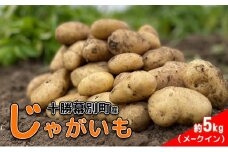 北海道 十勝 幕別産 じゃがいも メークイン 約5kg 【横山農園】 野菜 根菜 食材 しっとり 崩れにくい 煮込み料理 炒め物 肉じゃが カレー シチュー 北海道のジャガイモ[№5749-1788]