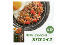 ジビエ 北海道  鹿肉  レトルト ガパオライス 5袋