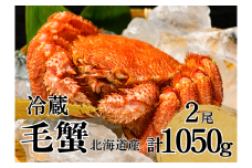 北海道【冷蔵】活ゆで毛蟹 2尾で1050g 毛ガニ 毛がに けがに 毛かに かに