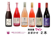 北海道池田町清見産清見種ワイン2本セット【Story of Kiyomi】