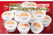 北海道 牧場のチーズ＆生ソフトクリーム 14個 アイスクリーム アイス スイーツ 池田町 ジェラート ギフト ソフトクリーム 120ml×14個 国産