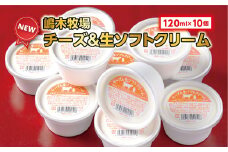 北海道 牧場のチーズ＆生ソフトクリーム 10個 アイスクリーム アイス スイーツ 池田町 ジェラート ギフト ソフトクリーム 120ml×10個 国産